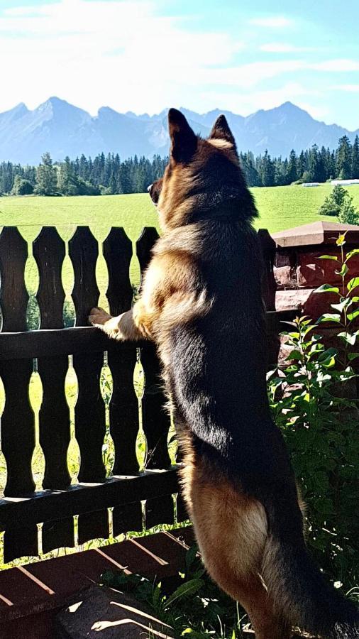 Willa Widokowa Bukowina Tatrzańska Dış mekan fotoğraf
